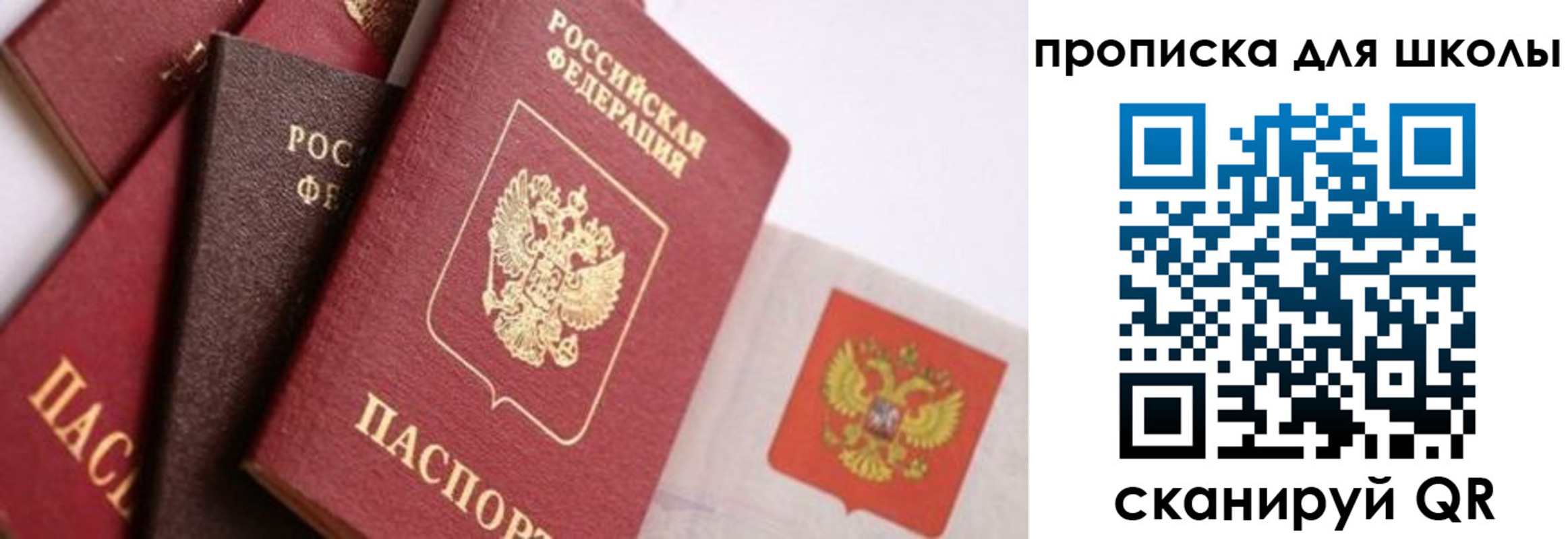 прописка паспорт в Волгодонске
